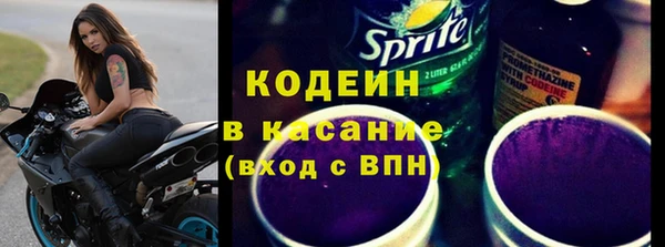 прущие грибы Сосновоборск