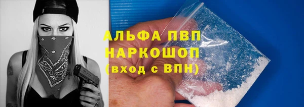 прущие грибы Сосновоборск