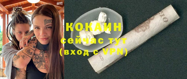 прущие грибы Сосновоборск