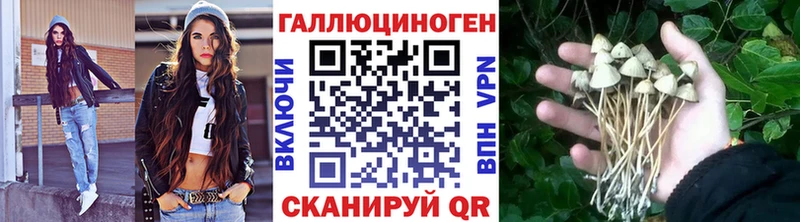 продажа наркотиков  Краснокамск  Галлюциногенные грибы MAGIC MUSHROOMS 